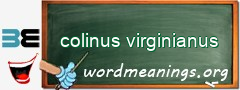 WordMeaning blackboard for colinus virginianus